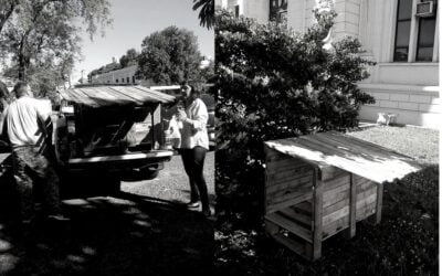 CUCHAS PARA PERROS DE LA CALLE